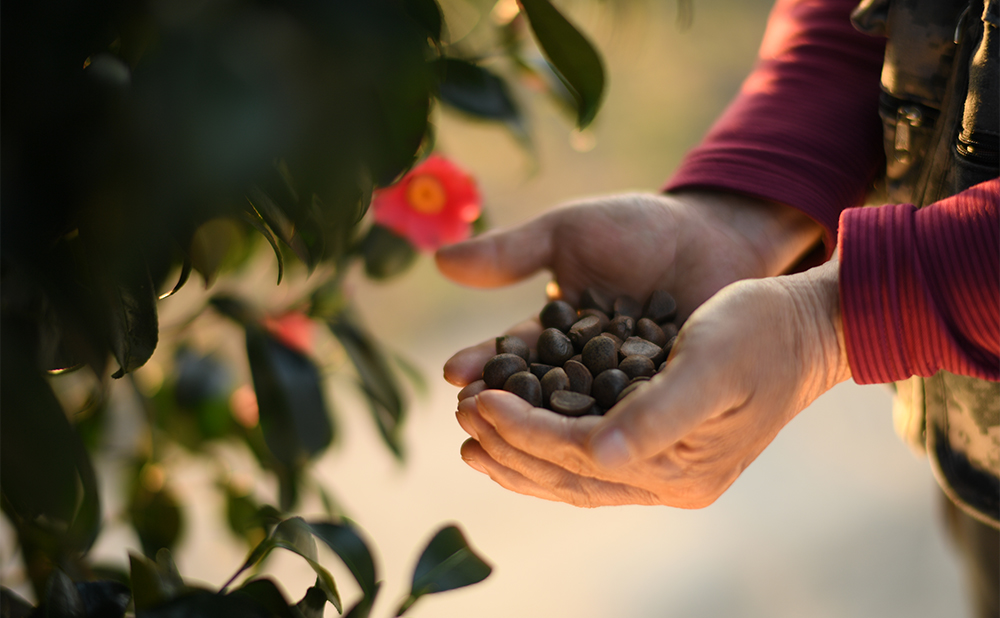 Purchasing sustainable raw materials