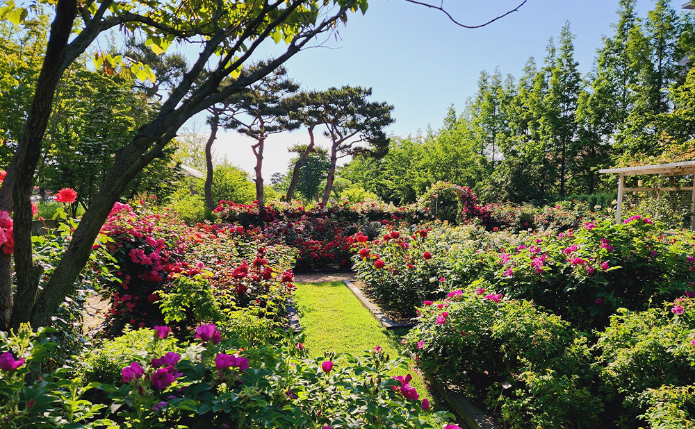 Botanic Garden