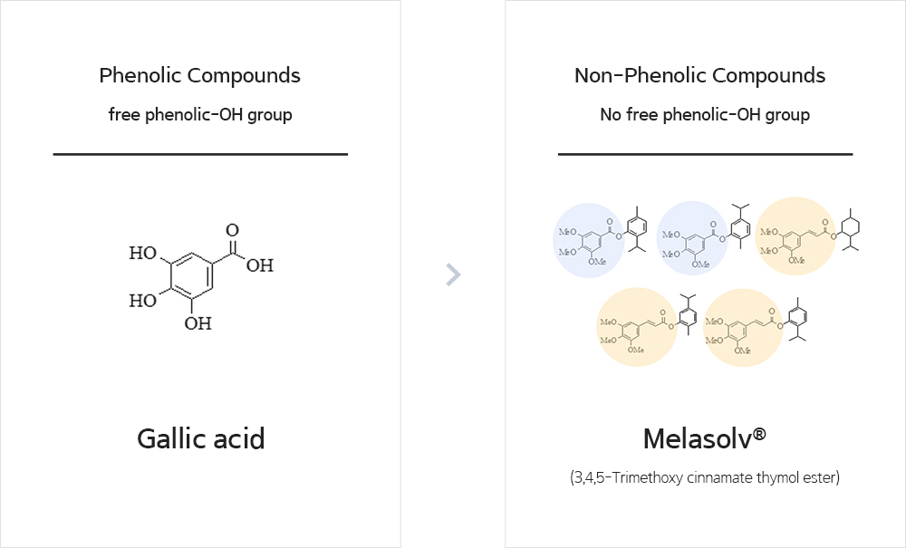 Melasolv, the Result of continuous Efforts to Realize Safe Whitening