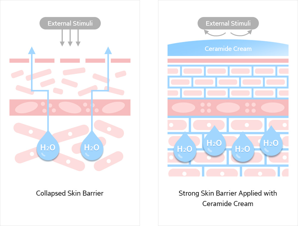 Moisturizing Ingredient PC-104 that Mimics the Natural Ceramides in the Skin